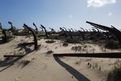 Praia do Barril