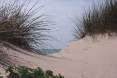 Praia do Barril
