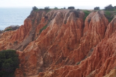 Felsenalgarve
