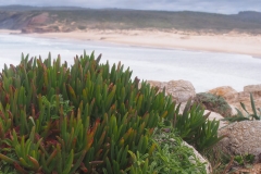 Praia da Bordeira