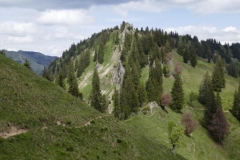 herrliche Wege in den Bergen der Nagelfluhkette