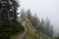 ... auch im Nieselregen