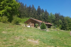 doch seßhaft werden???