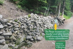 sogar im bayerischen Wald ist die Mauer ein Thema!