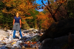 auf dem Weg in die Schlucht