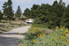 ein schöner Stellplatz in der Wildcat Recreation Area
