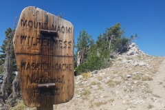 im Wasatch-Cache National Forest