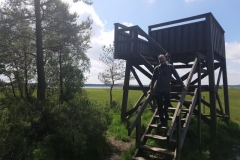 Aussichtsturm übers Moor