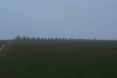 nochmal abends im Nebel