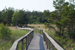 im Naturpark am Vänernsee