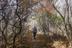 auf dem Appalachian Trail