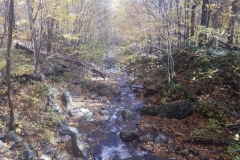 Trail zu den Dark Hollow Falls