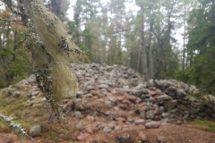im Skuleskogen NP