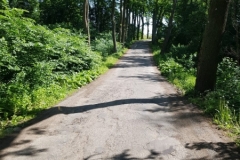 romantisch, aber scheiße zu fahren!