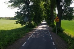 mit Seitenstreifen - keine Einbahnstraße!