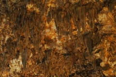 PA250869