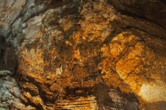 PA250870