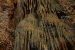 PA250882