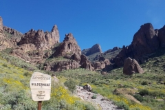 auf dem Weg zum Flat Iron