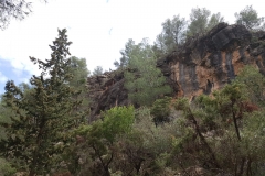 die black cliffs