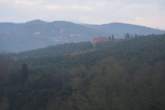 Vinci