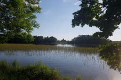 im Nationalpark Trakai am Galvé-See