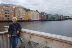 alte Speicherhäuser in Trondheim