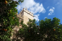 Valencia