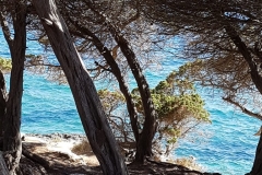 Capo Testa