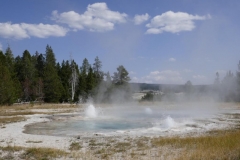 Upper Basin Geyserfield