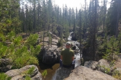 auf Streifzug im Grizzlygebiet