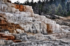 Mammoth Hot Springs
