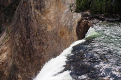 Yellowstone Falls