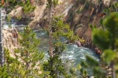 Yellowstone Canyon