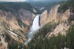 Yellowstone Falls