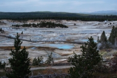 Upper Basin Geyserfield